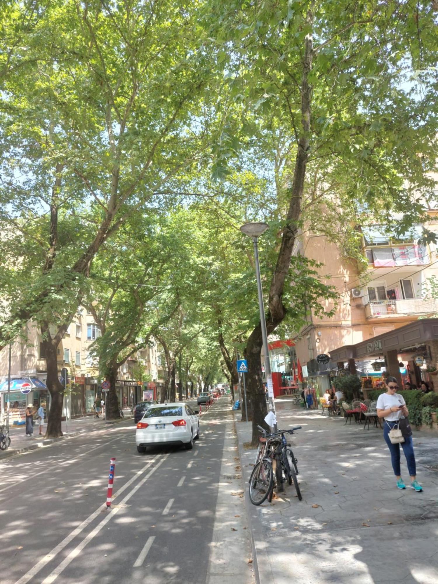 Myslym Shyri Lovely Top Apartment Tiran Dış mekan fotoğraf